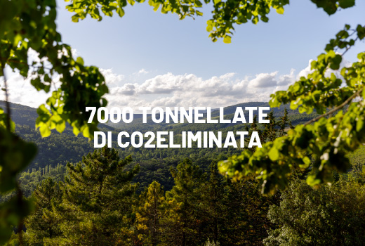 Castello di Meleto
